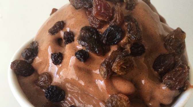 Cacao & Vine Fruit Ice Cream 🍦